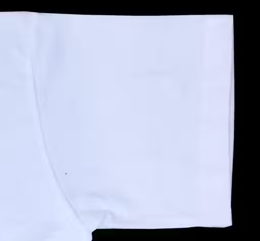 Women’s Cropped Graphic T-Shirt – Brooklyn 1899 Print - Image 3